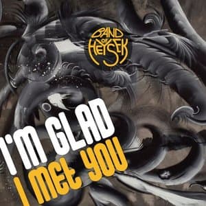 Im Glad I Met You
