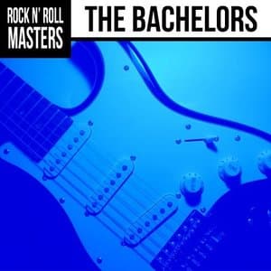 Rock n Roll Masters: The Bachelors