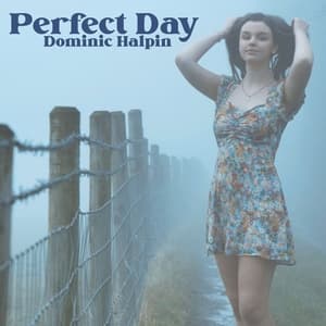 Perfect Day