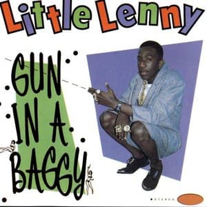 Gun in a Baggy