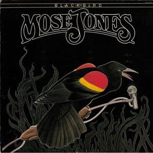 Blackbird