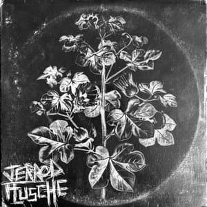 Jerrod Flusche