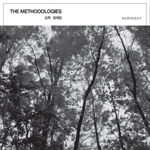The Methodologies