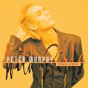 Peter Murphy - Wild Birds
