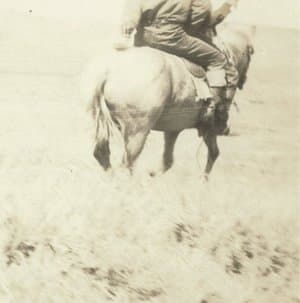 The Hired Hand (Original Motion Picture Soundtrack)