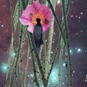 S/T