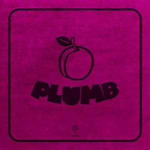 Plumb