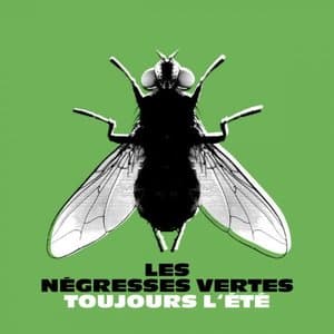 Toujours lete