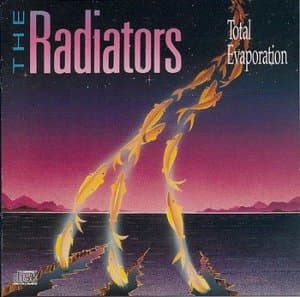 Total Evaporation