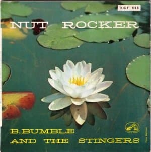 Nut Rocke