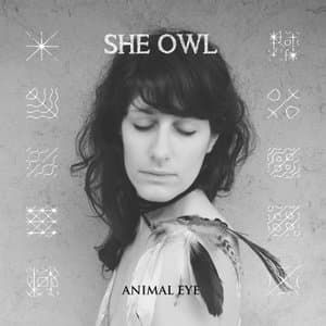 Animal Eye