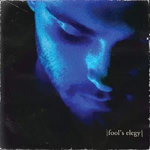 fools elegy