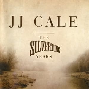 The Silvertone Years