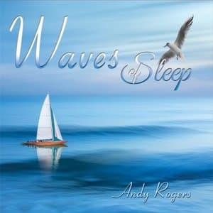 Waves of Sleep