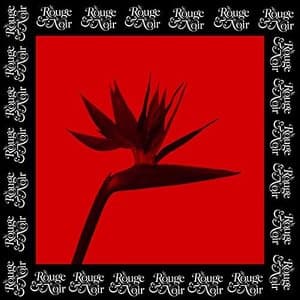 Le rouge & le noir