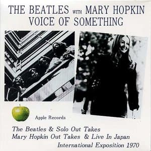 Voice Of Something