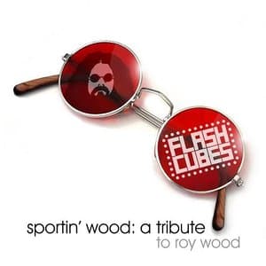 Sportin Wood: a Tribute to Roy Wood