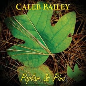 Poplar & Pine