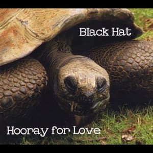 Hooray for Love