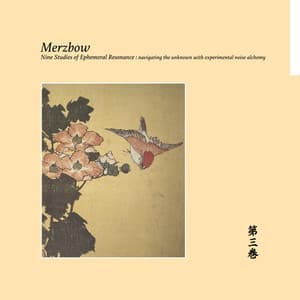 Nine Studies Of Ephemeral Resonance Volume 3