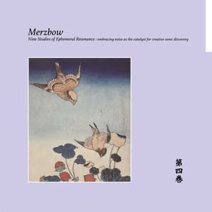 Nine Studies Of Ephemeral Resonance Volume 4