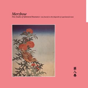 Nine Studies Of Ephemeral Resonance Volume 8