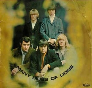 Many Sides Of The Lions