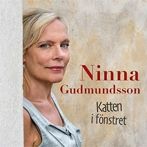 Katten i fonstret