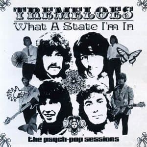What a State Im In: The Psych-Pop Sessions