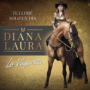 Te Llore Solo Un Dia