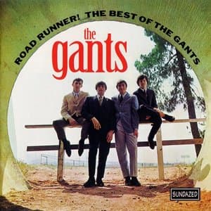 Road Runner! The Best Of The Gants