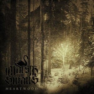 Heartwood