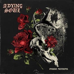 Inside Notions