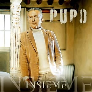 Insieme