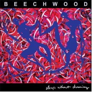 Sleep Without Dreaming