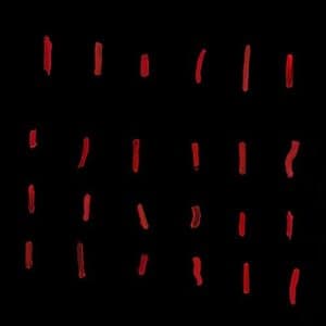 Strokes of Incarceration (Anniversary Edition)