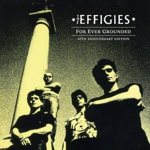 For Ever Grounded  (40th Anniversary Edition)