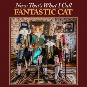 Now Thats What I Call Fantastic Cat