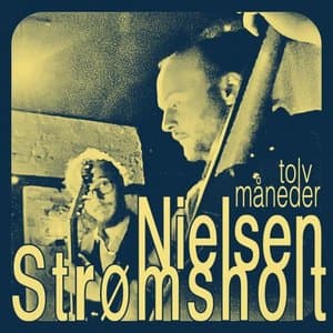 tolv maneder
