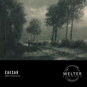 [WELTER263LP]