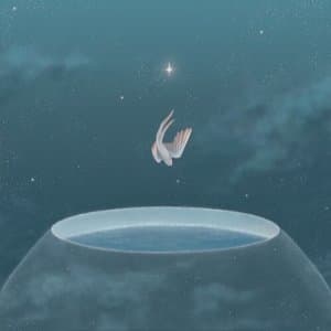 No Wind