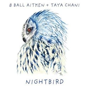 Nightbird