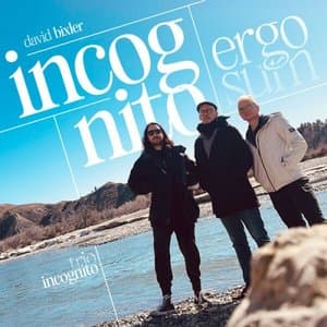 incognito ergo sum