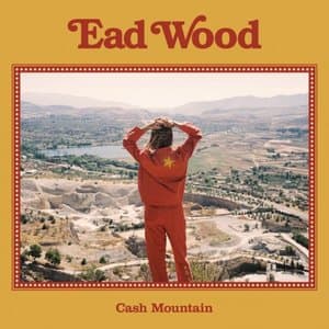 Cash Mountain