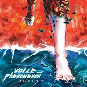 voice and phenomenon