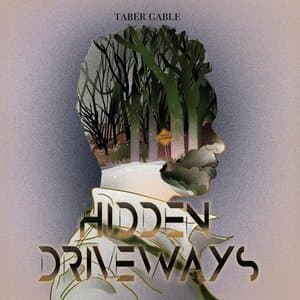 Hidden Driveways
