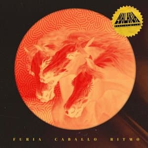 Furia * Caballo * Ritmo