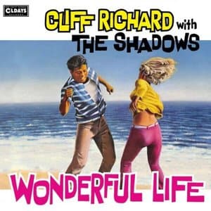 Wonderful Life