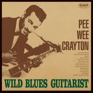 Wild Blues Guitarist