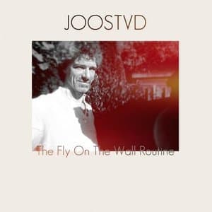 The Fly on the Wall Routine